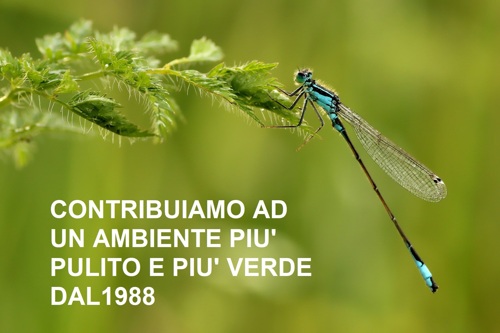 Ambiente sicuro, pulito e verde